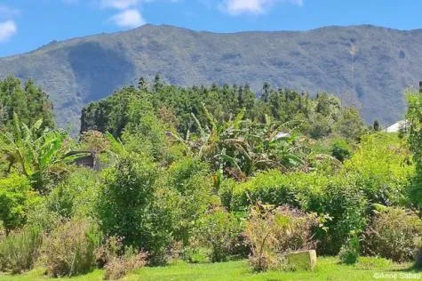 La Réunion : les 5 plantations et domaines à visiter !