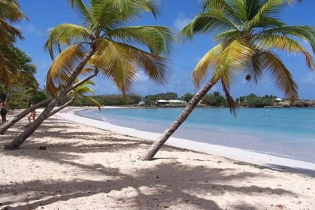 Découvrez le Parc Naturel Régional de la Martinique