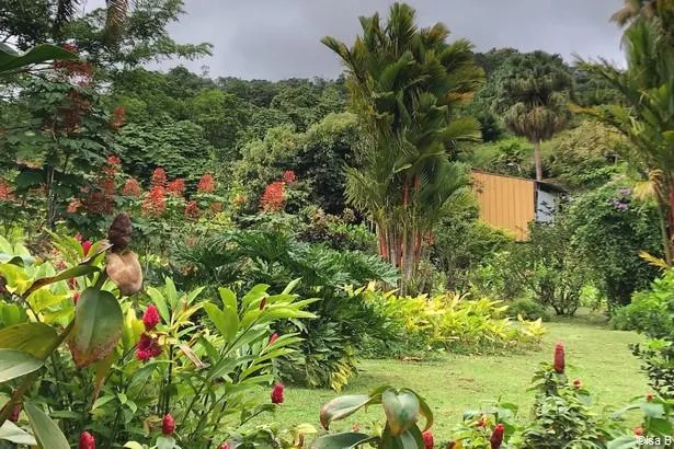 Martinique : La plantation Beauvallon à Morne Rouge 