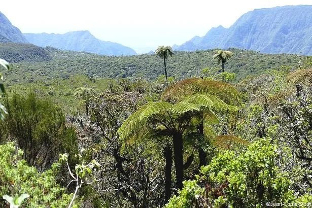 La Réunion : Découvrez la plaine des Marsouins !