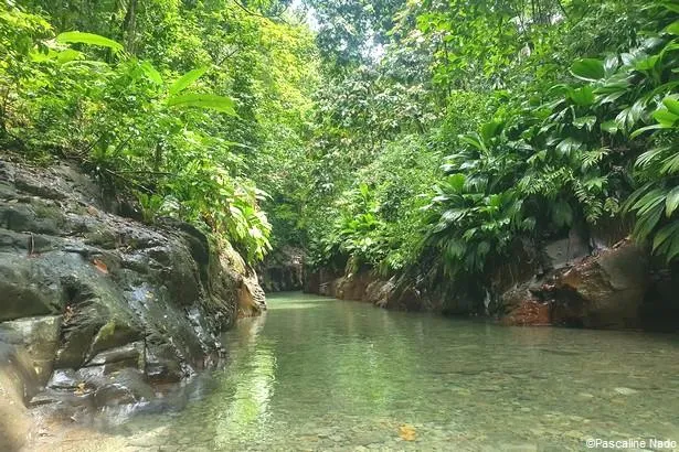 Guadeloupe : Explorez le canyon de la rivière Moustique 