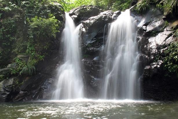 5 Superbes Cascades à Découvrir En Martinique