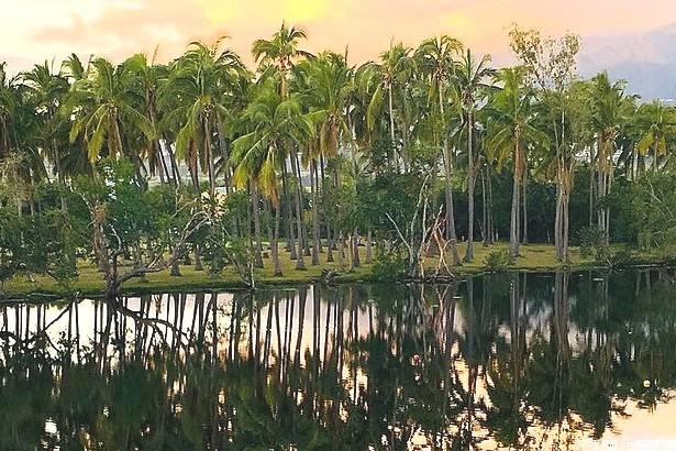 Balade Sur Le Tour Des Roches à Saint Paul La Réunion