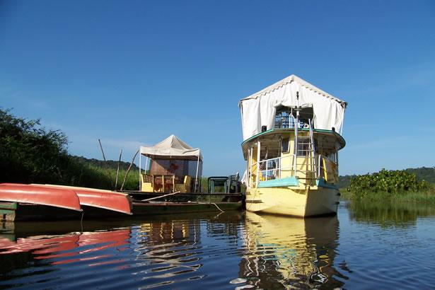 Partez A L Aventure Dans Les Marais De Kaw En Guyane