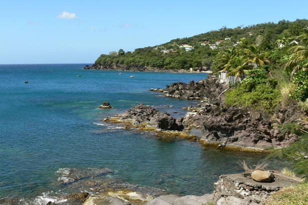 Partez à La Découverte De Pointe Noire En Guadeloupe